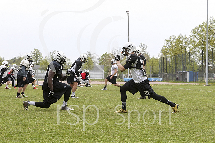 Football GFL1 Ingolstadt Dukes