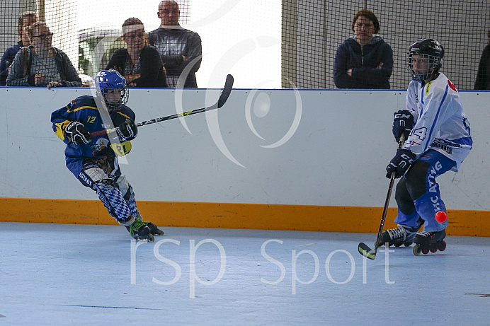 Skaterhockey, Sch