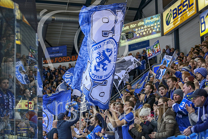 Eishockey, DEL, Saison 2017/2018, ERC Ingolstadt - Schwenninger Wild Wings