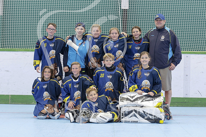 Skaterhockey, Sch