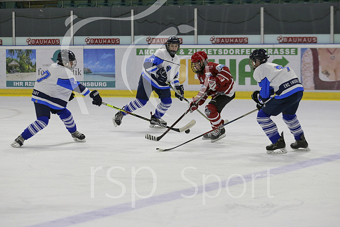 Eishockey - Nachwuchs U15 - Bayernliga - Saison 2019/2020 -  ERC Ingolstadt - Regensburg - Foto: Ralf Lüger