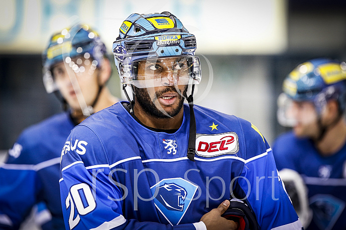 Eishockey, DEL, Saison 2017/2018, ERC Ingolstadt - Grizzlys Wolfsburg