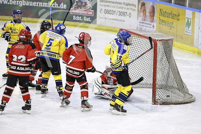 Eishockey, U12, Landesliga Gruppe 3, Saison 2017/2018, EC Pfaffenhofen - Bad Aibling