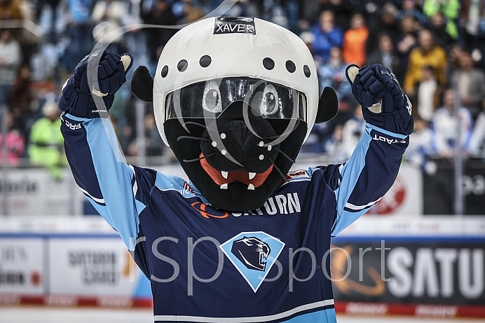 Eishockey - Herren - DEL - Playoffs - Spiel 5 - Saison 2022/2023 -   ERC Ingolstadt - DEG - Foto: Ralf Lüger