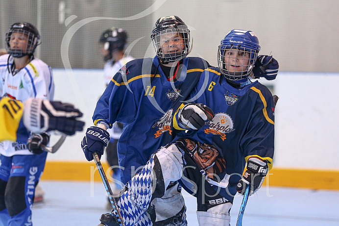 Skaterhockey, Sch