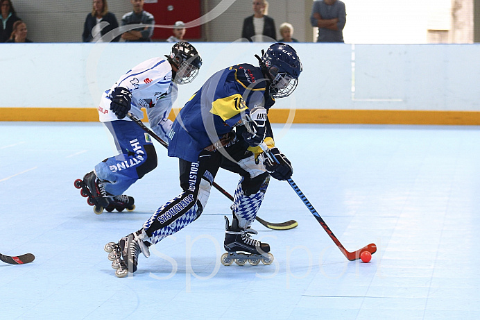 Skaterhockey, Sch