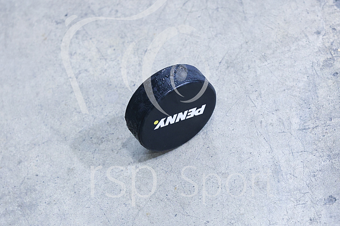 Eishockey - Herren - DEL - Saison 2020/2021 -   ERC Ingolstadt - Adler Mannheim - Foto: Ralf Lüger