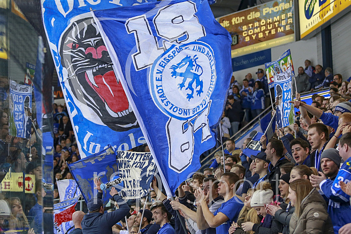 Eishockey, DEL, Saison 2017/2018, ERC Ingolstadt - Schwenninger Wild Wings