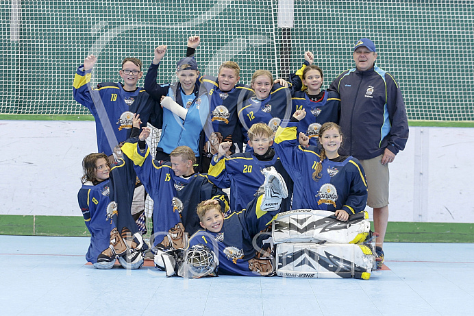 Skaterhockey, Sch
