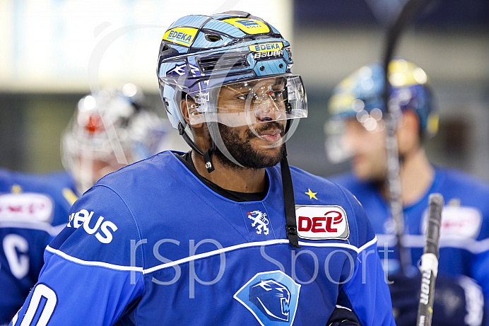 Eishockey, DEL, Saison 2017/2018, ERC Ingolstadt - Grizzlys Wolfsburg
