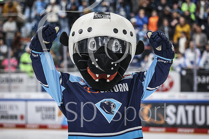 Eishockey - Herren - DEL - Playoffs - Spiel 5 - Saison 2022/2023 -   ERC Ingolstadt - DEG - Foto: Ralf Lüger