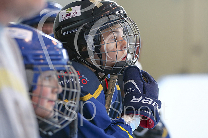 Skaterhockey, Sch