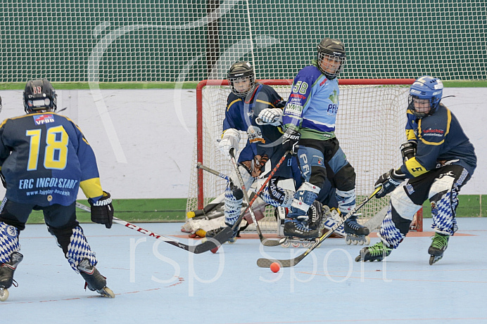 Skaterhockey, Sch