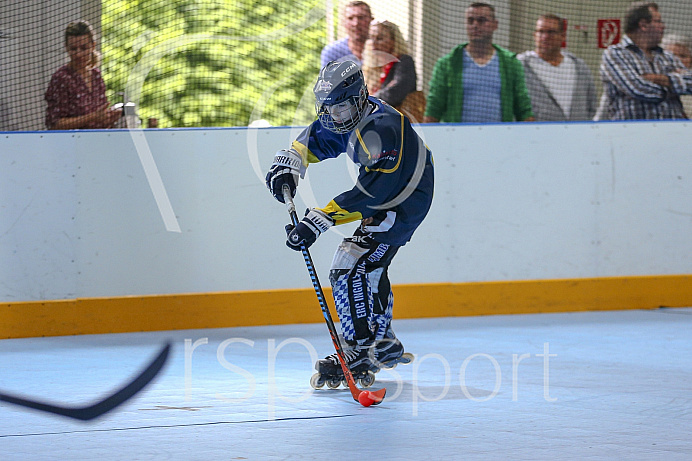 Skaterhockey, Sch