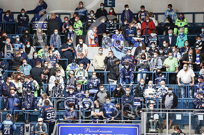 Eishockey - Herren - DEL - Saison 2021/2022 -   ERC Ingolstadt - Düsseldorfer EG - Foto: Ralf Lüger