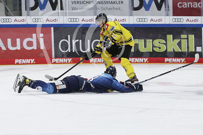 DNL - Eishockey - Saison 2022/2023  - ERC Ingolstadt - Krefeld - Foto: Ralf Lüger