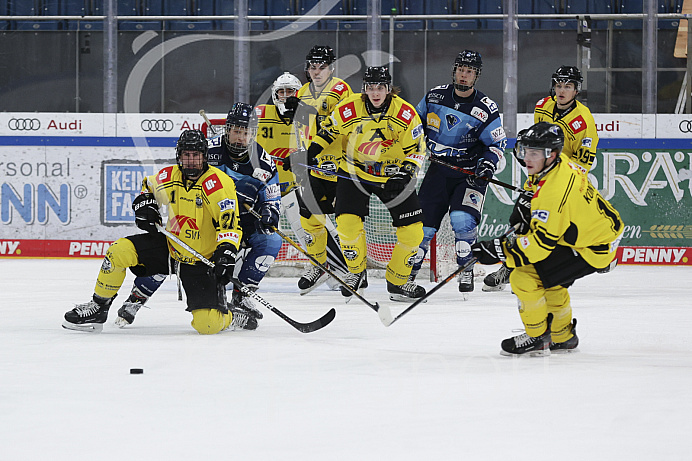 DNL - Eishockey - Saison 2022/2023  - ERC Ingolstadt - Krefeld - Foto: Ralf Lüger