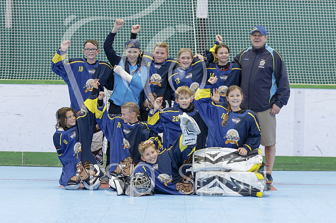 Skaterhockey, Sch