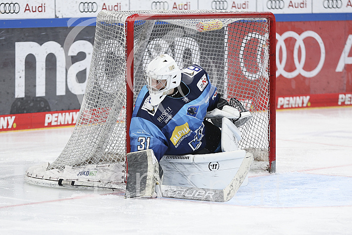DNL - Eishockey - Playoffs - Saison 2022/2023  - ERC Ingolstadt - Kölner Haie - Foto: Ralf Lüger