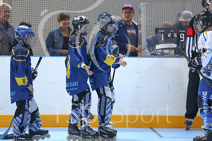 Skaterhockey, Sch