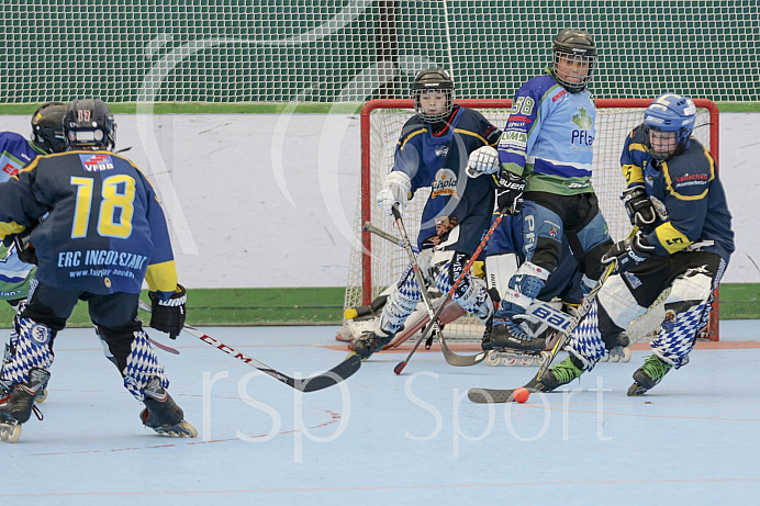 Skaterhockey, Sch