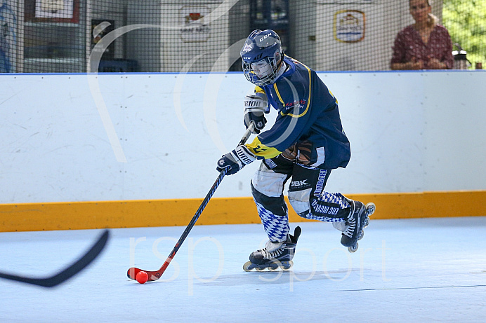 Skaterhockey, Sch