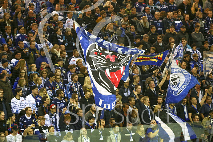 Eishockey, DEL, Saison 2017/2018, ERC Ingolstadt - Grizzlys Wolfsburg