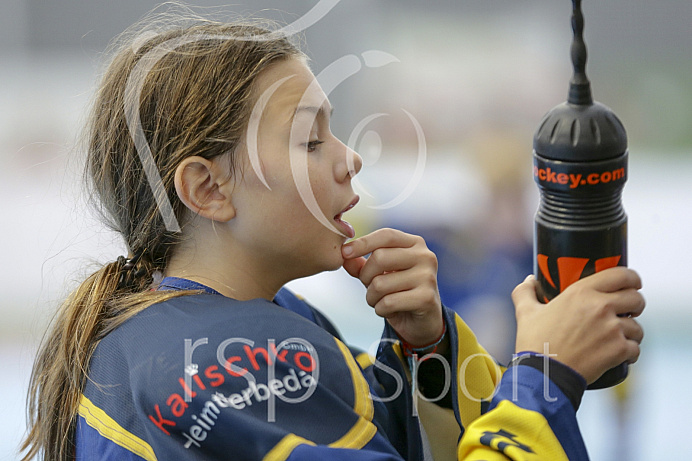 Skaterhockey, Sch