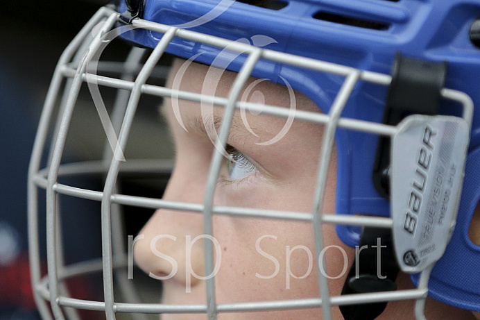Skaterhockey, Sch