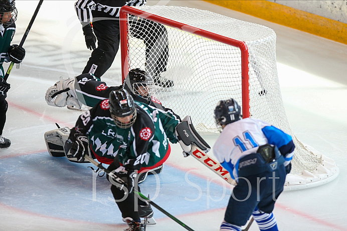 Eishockey - Nachwuchs U15 - Bayernliga - Saison 2020/2021 -  Rosenheim - ERC Ingolstadt - Foto: Ralf Lüger