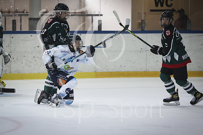 Eishockey - Nachwuchs U17 - Schüler Bundesliga  - Saison 2022/2023 - ERC Ingolstadt - Rosenheim- Foto: Ralf Lüger