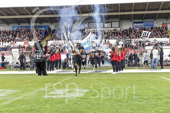 Football, GFL, Ingolstadt Dukes
