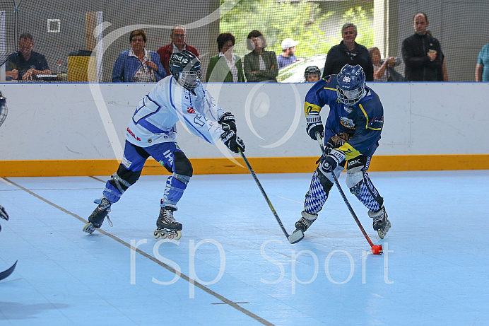 Skaterhockey, Sch
