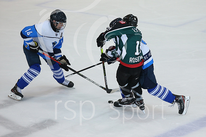 Eishockey - Nachwuchs U15 - Bayernliga - Saison 2020/2021 -  Rosenheim - ERC Ingolstadt - Foto: Ralf Lüger
