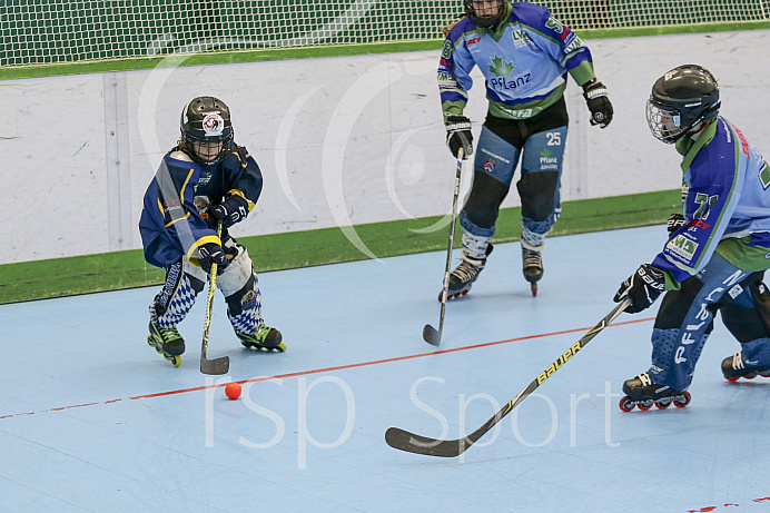 Skaterhockey, Sch