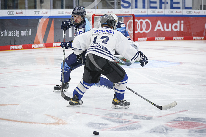 DNL - Eishockey - Saison 2022/2023  - ERC Ingolstadt - Dresden - Foto: Ralf Lüger