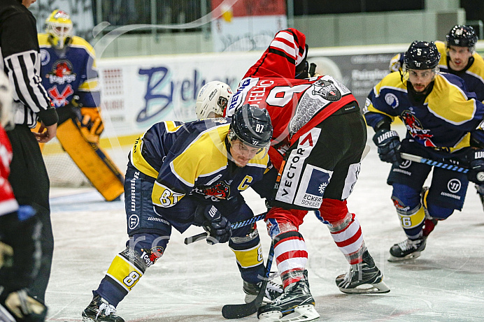 Eishockey - Bayernliga - EC Pfaffenhofen - Eislöwen Regensburg - Saison 2017/2018
