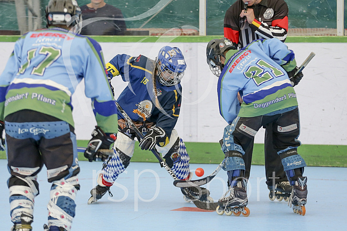 Skaterhockey, Sch