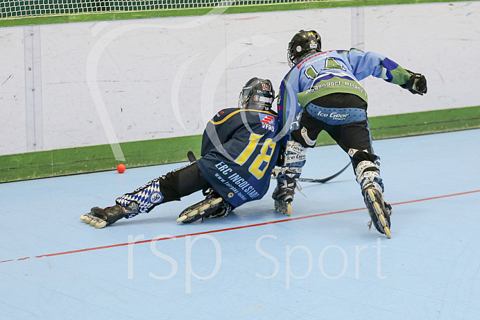 Skaterhockey, Sch