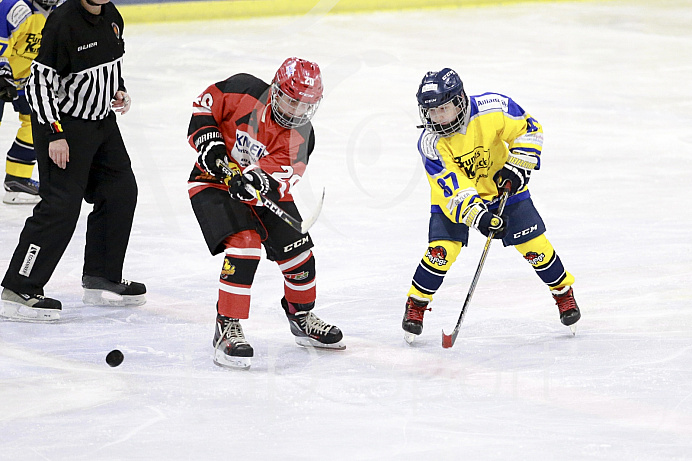 Eishockey, U12, Landesliga Gruppe 3, Saison 2017/2018, EC Pfaffenhofen - Bad Aibling

