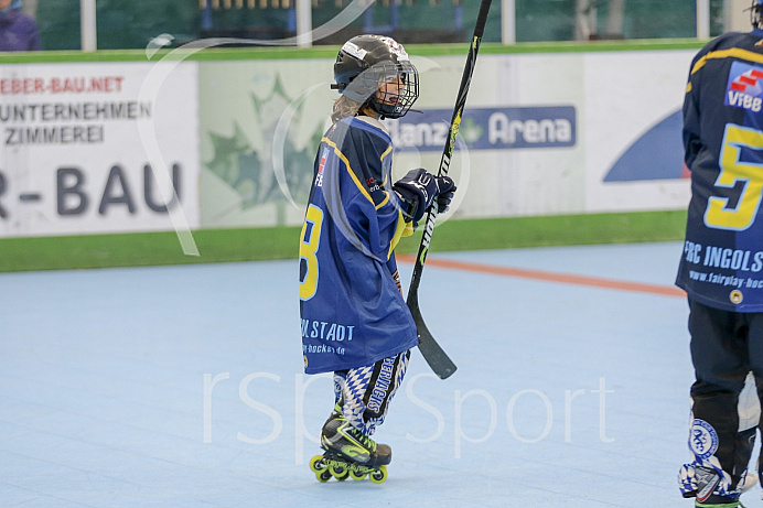 Skaterhockey, Sch