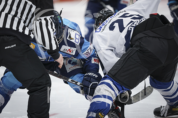 DNL - Eishockey - Saison 2022/2023  - ERC Ingolstadt - Dresden - Foto: Ralf Lüger