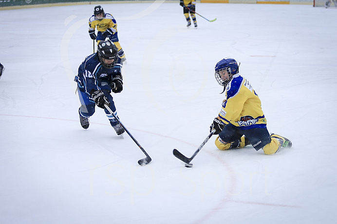 Eishockey, U12, Landesliga Gruppe 3, Saison 2017/2018, EC Pfaffenhofen - Ottobrunn / München

