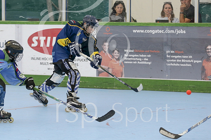 Skaterhockey, Sch