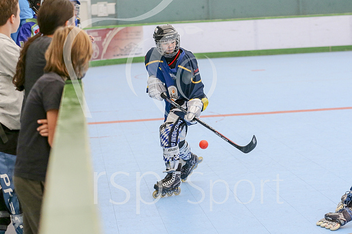 Skaterhockey, Sch