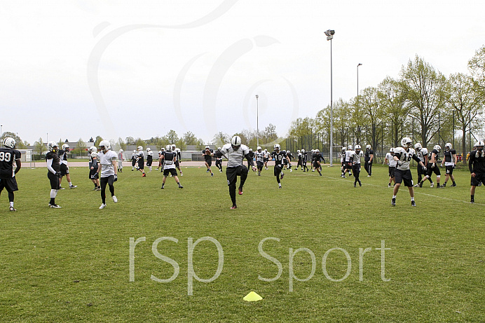 GFL1 - Football - Saison 2017 - Ingolstadt Dukes -Foto: Ralf Lüger GFL1 - Football - Saison 2017 - Ingolstadt Dukes -Foto: Ralf Lüger