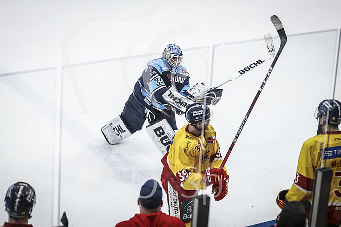 Eishockey - Herren - DEL - Playoffs - Spiel 5 - Saison 2022/2023 -   ERC Ingolstadt - DEG - Foto: Ralf Lüger