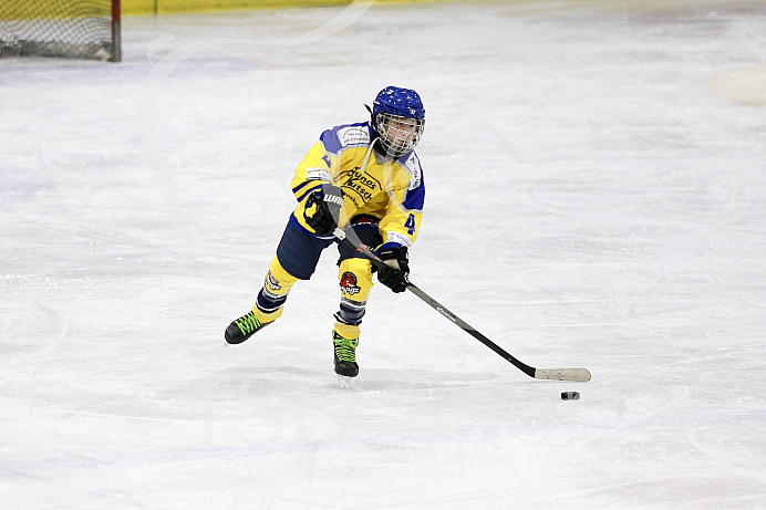 Eishockey, U12, Landesliga Gruppe 3, Saison 2017/2018, EC Pfaffenhofen - Bad Aibling

