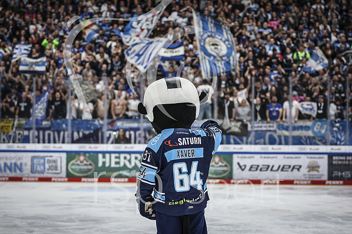 Eishockey - Herren - DEL - Playoffs - Spiel 5 - Saison 2022/2023 -   ERC Ingolstadt - DEG - Foto: Ralf Lüger
