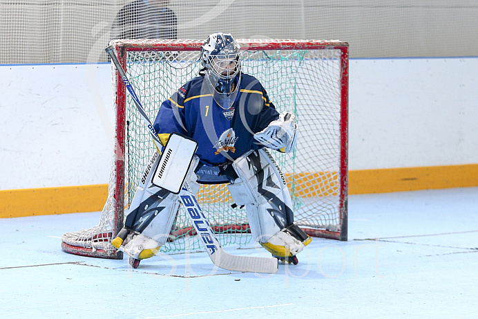 Skaterhockey, Sch